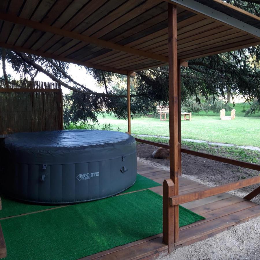 Bed and Breakfast L'EDEN proche du Zoo de Beauval de Saint Aignan à Luçay-le-Mâle Extérieur photo
